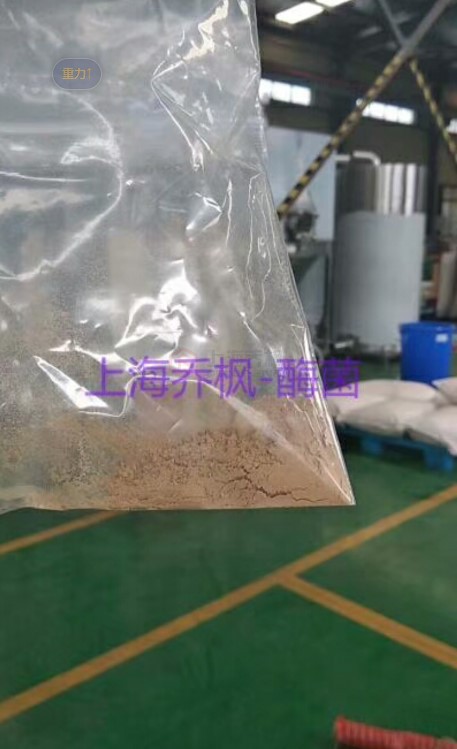 采用低溫噴霧干燥機(jī)做霉菌溶液干燥實(shí)驗效果極佳